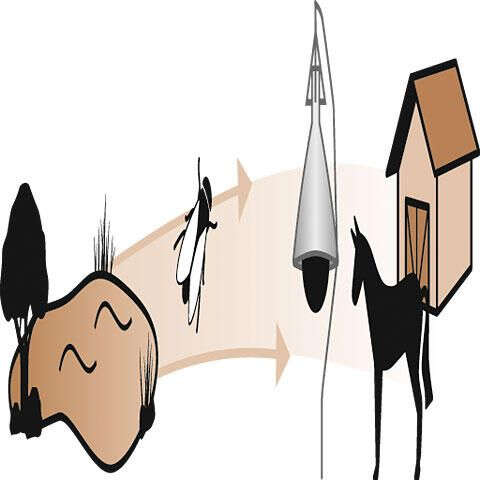 KERBL Bremsenfalle TaonX